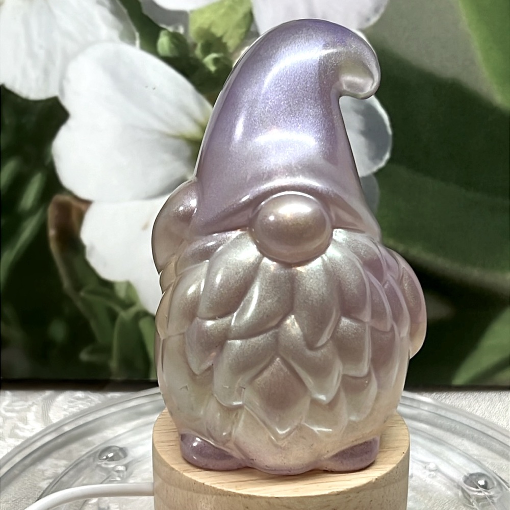 Another February Gnome
